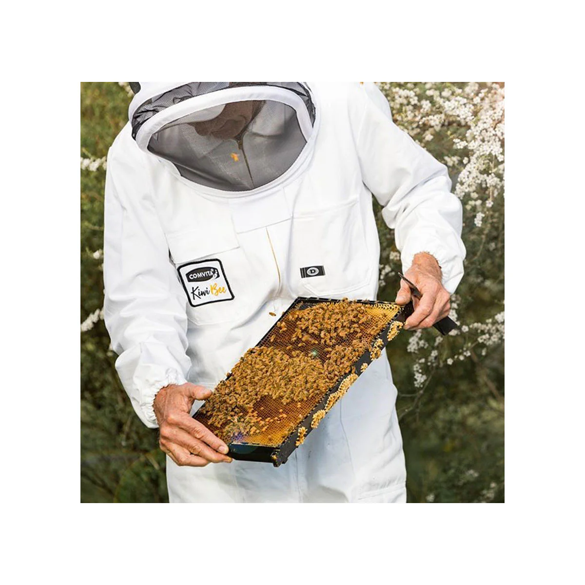 UMF 18+ Manuka Honey - Image 3