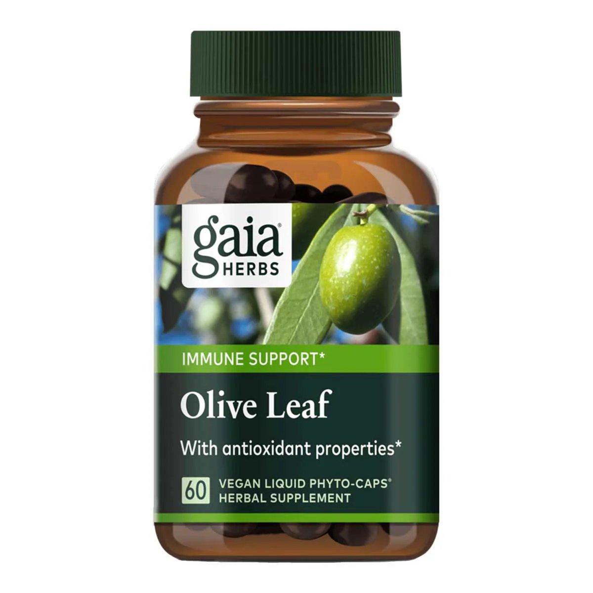 Olive Leaf